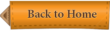 SEO Company India